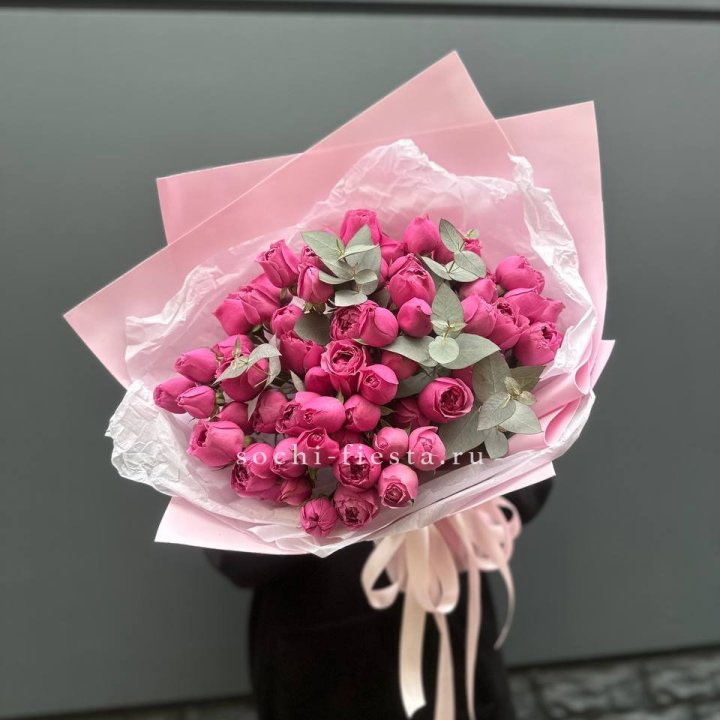 25 Мисти бабблс в Кургане