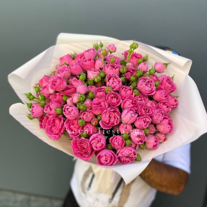 Мисти Баблс 35шт в Кургане