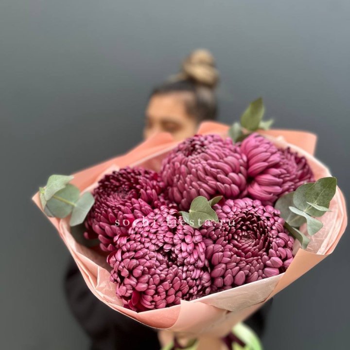 Хризантемы  Бигуди  в Кургане