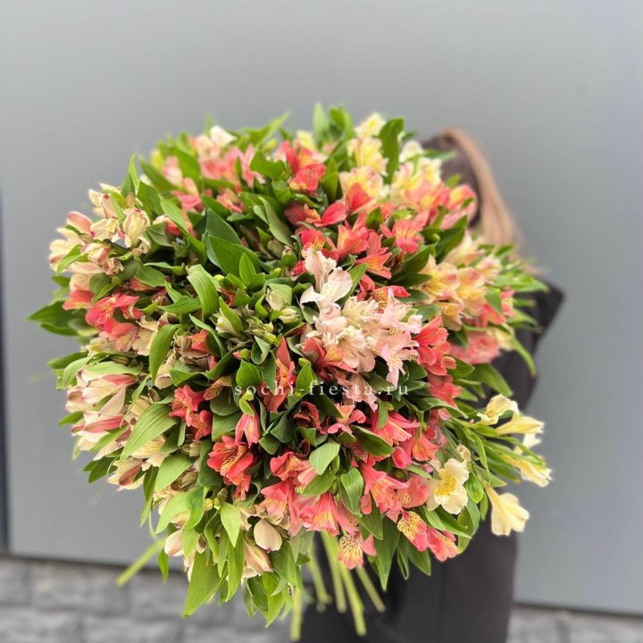 51 альстромерия в Кургане