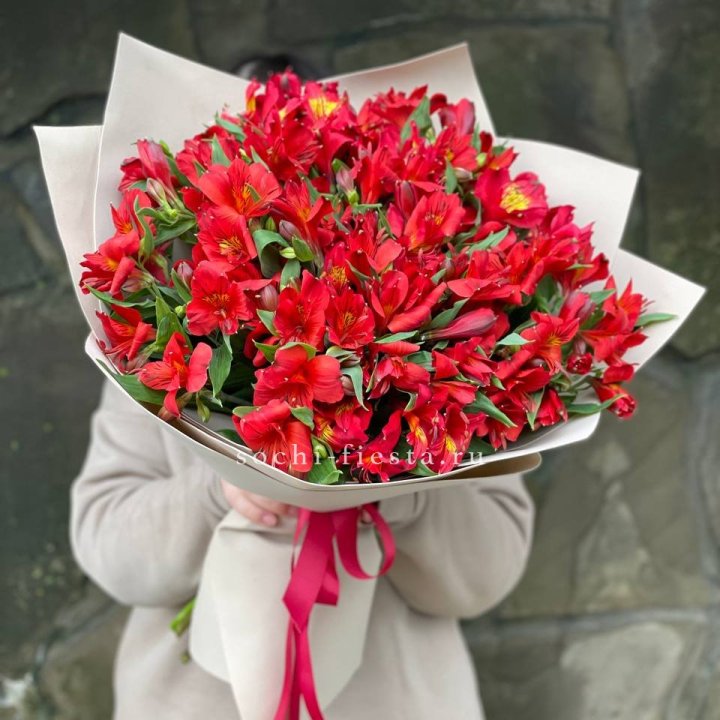 51 альстромерия в Кургане