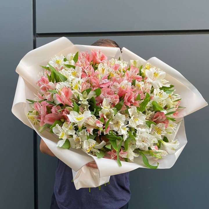 39 альстромерий в Кургане