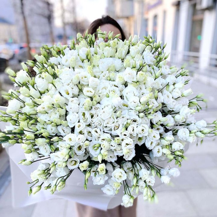 101 белая эустома в Кургане