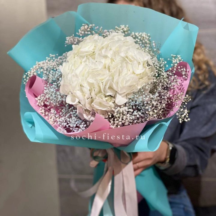 Гортензия "Райдов" в Кургане