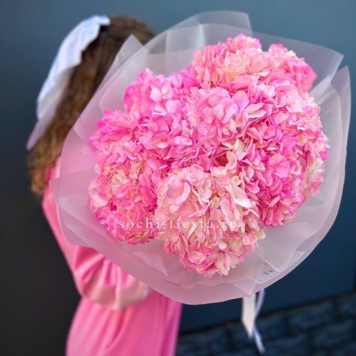 7 ярко розовых гортензий в Кургане