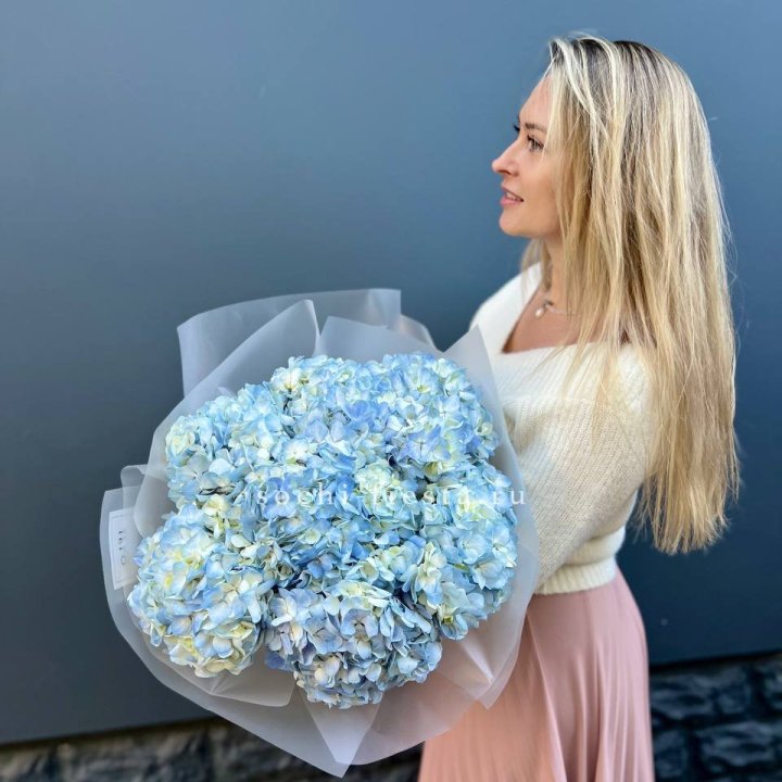 7 голубых гортензий в Кургане