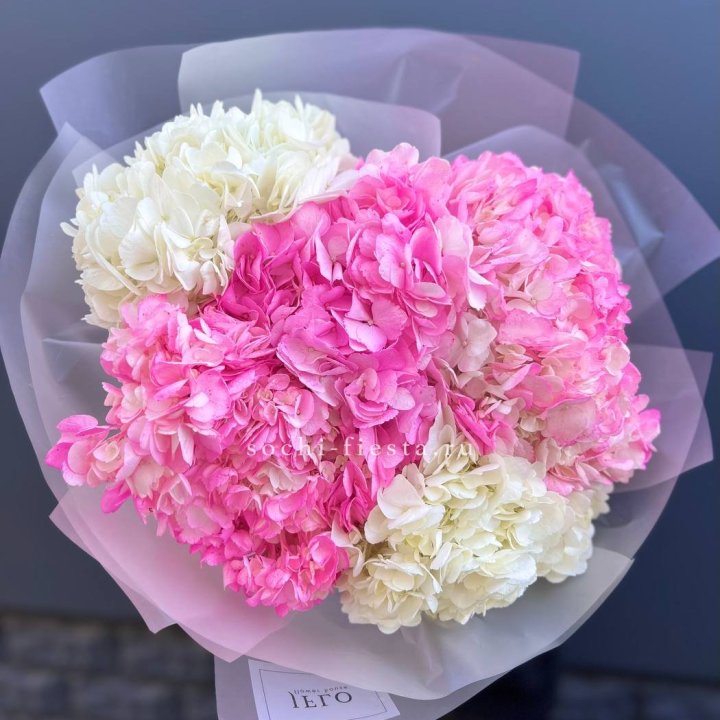 5 бело-розовых гортензий в Кургане