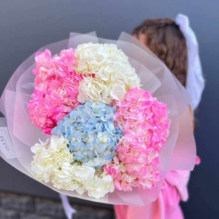7 гортензий микс в Кургане