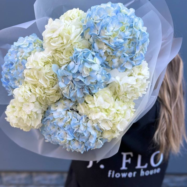 9 бело-голубых гортензий в Кургане