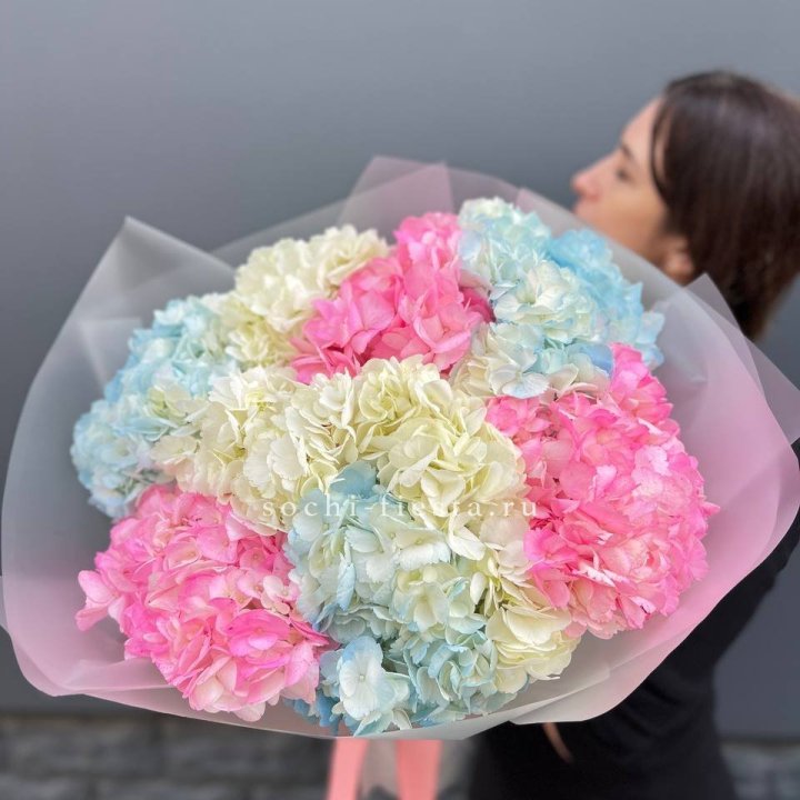 9 гортензий микс в Кургане