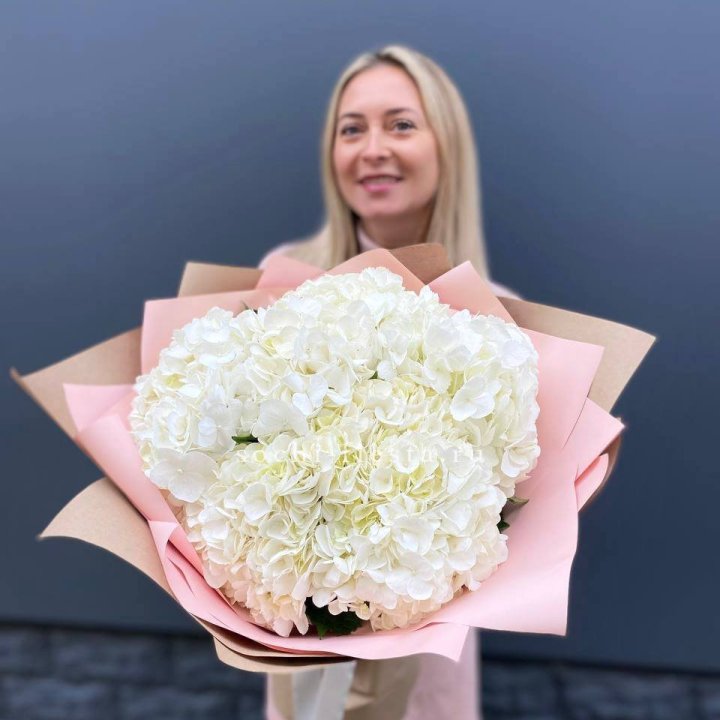 Гортензия белая в Кургане