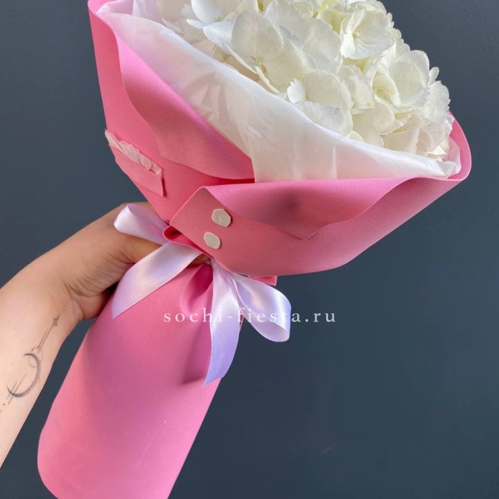 Гортензия в розовом пиджаке в Кургане