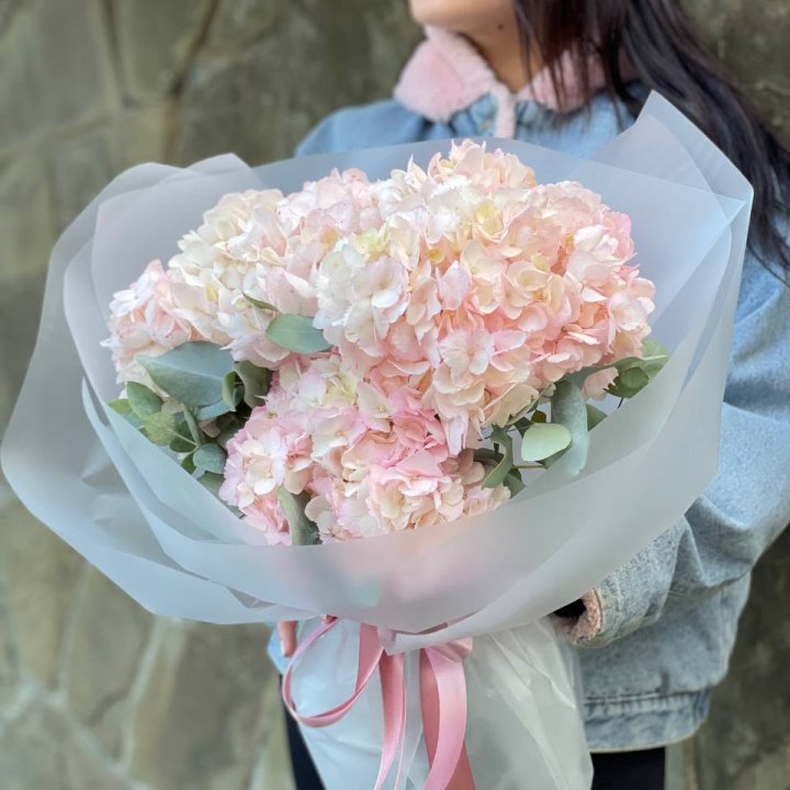 5 розовых гортензий в Кургане