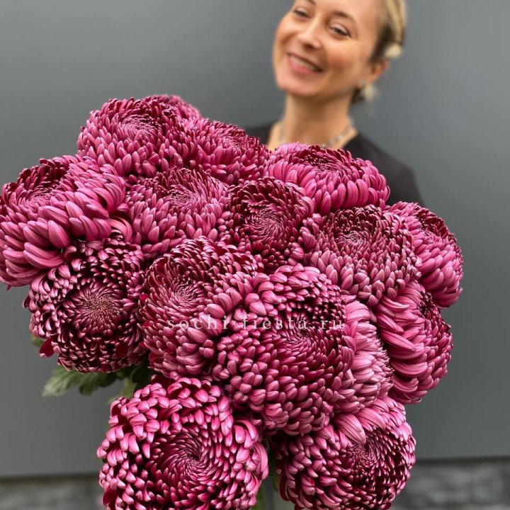 Охапка хризантем Бигуди в Кургане