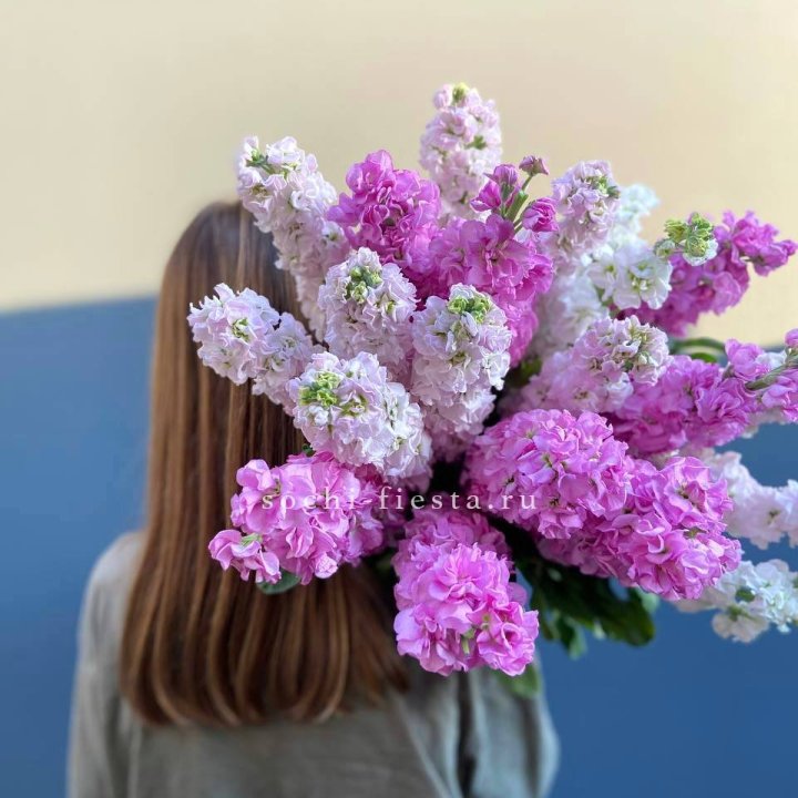 Охапка маттиолы в Кургане