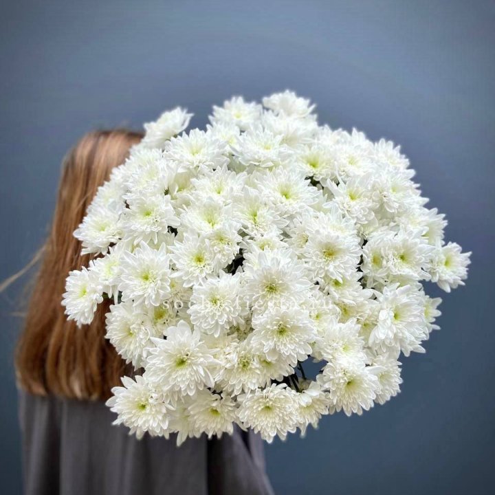 Охапка Хризантемы кустовой в Кургане