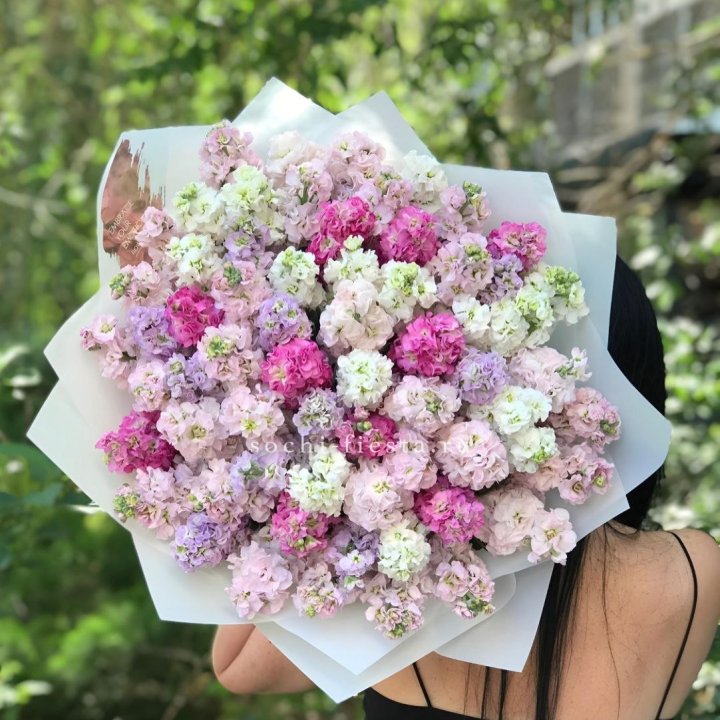 Букет ароматной маттиоллы №3 в Кургане