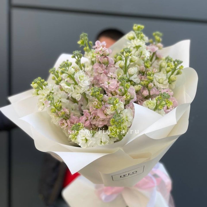 29 маттиол  в Кургане