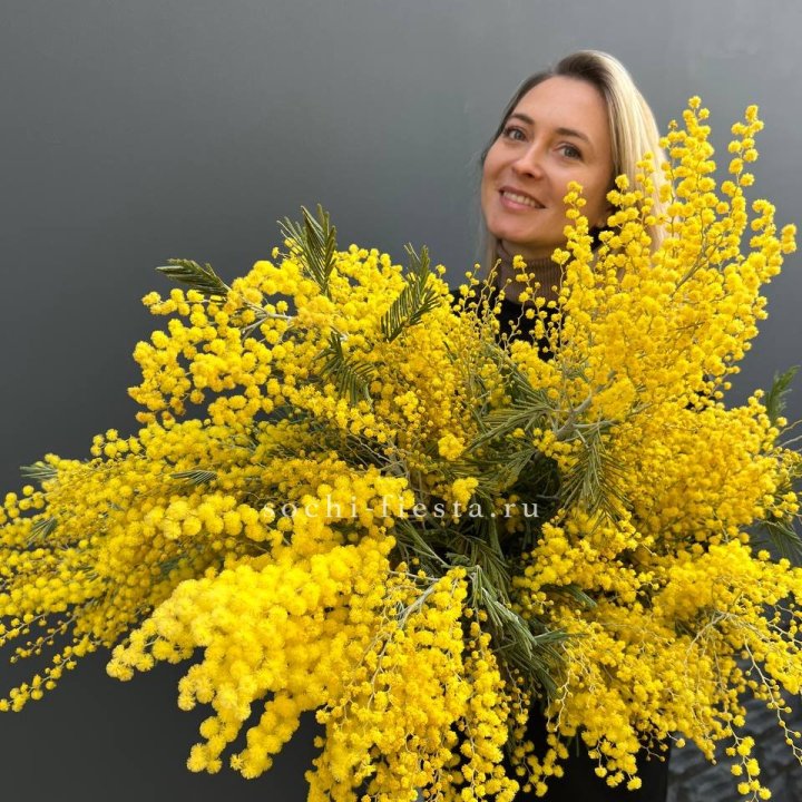 Охапка мимозы №2 в Кургане