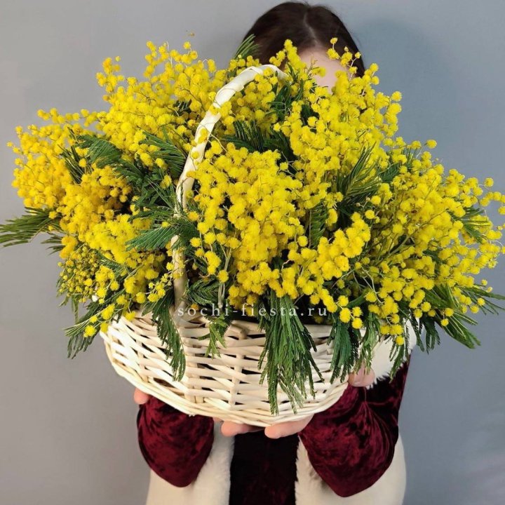 Корзина ароматной мимозы в Кургане