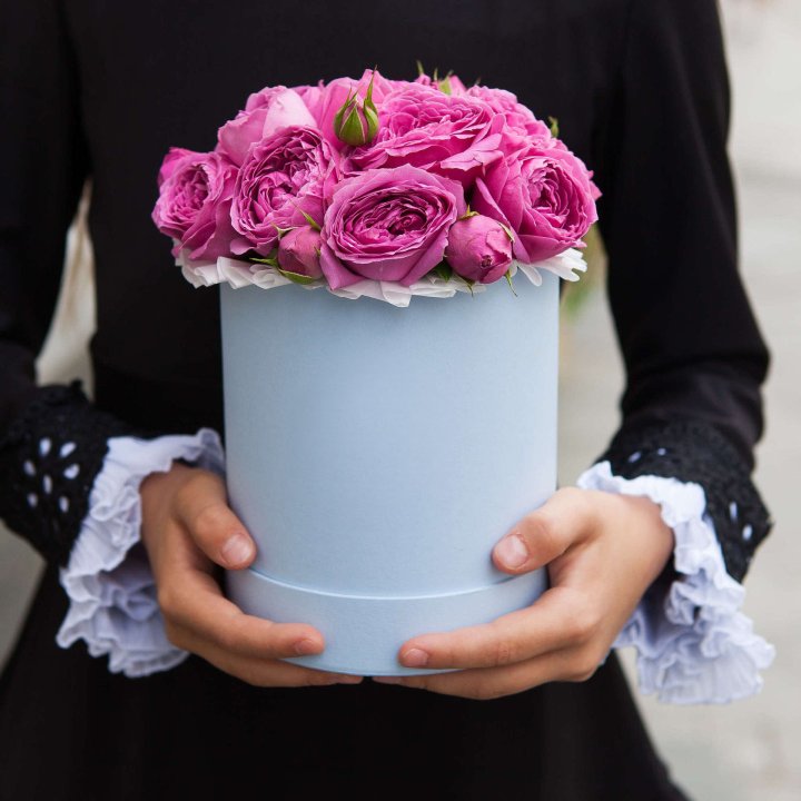 Бокс мини мисти в Кургане