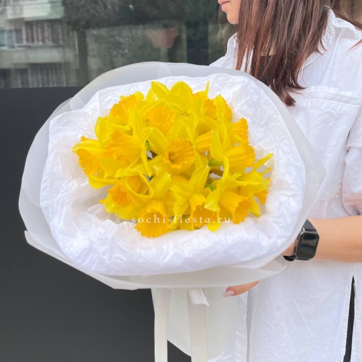 Нарциссы 25 шт в Кургане