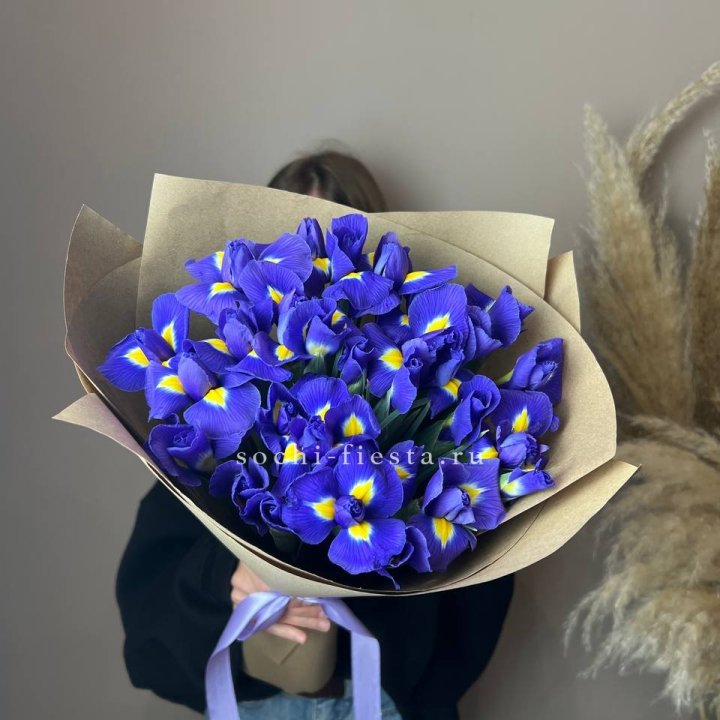 Ирисы в Кургане