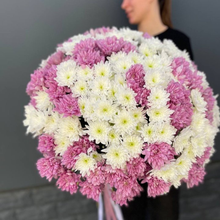  Букет 25 хризантем микс в Кургане