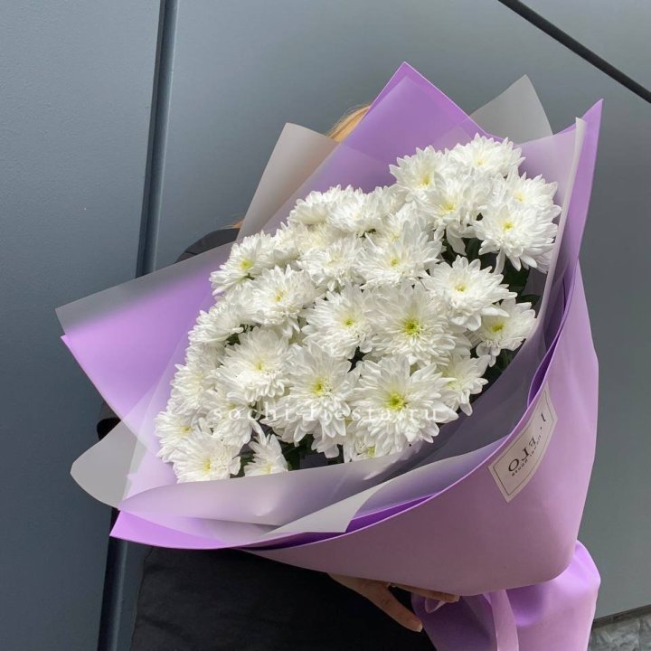  7 хризантем  в Кургане