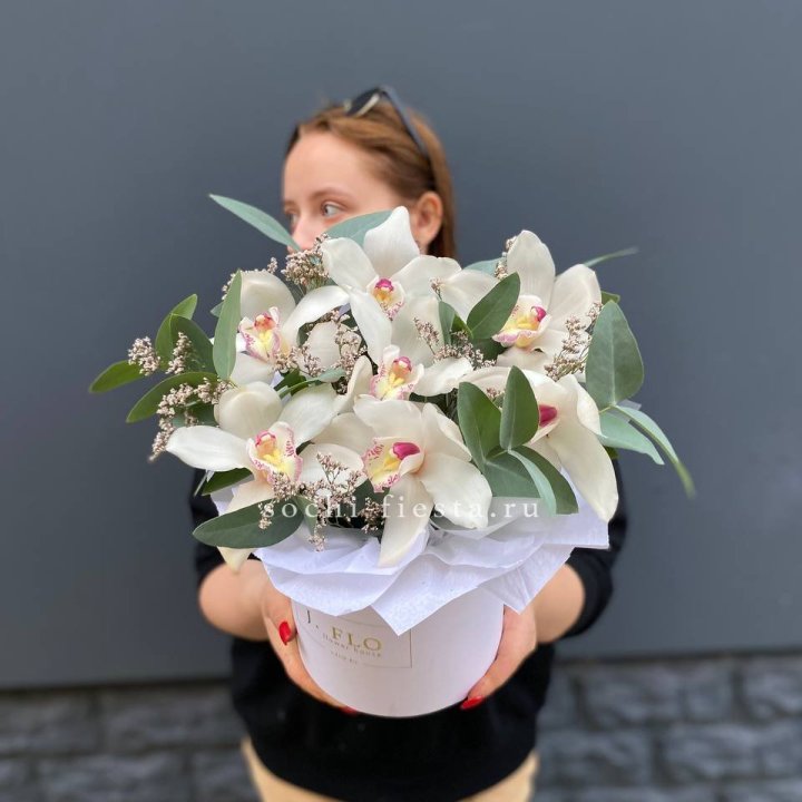 7 орхидей в боксе в Кургане