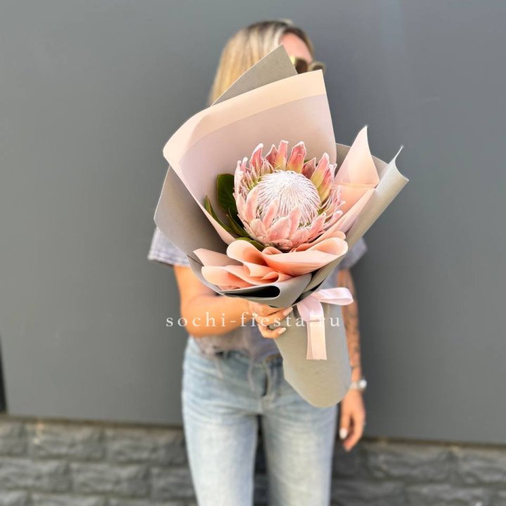 Протея мини  в Кургане