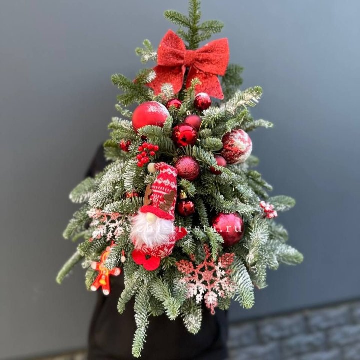 Новогодняя елочка "Ред" в Кургане