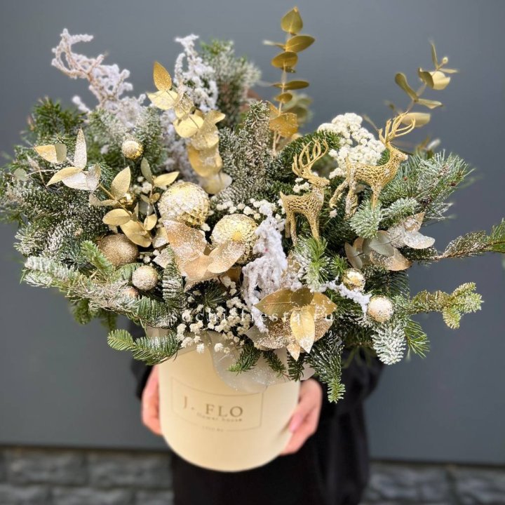 Золотой бокс с нобилисом в Кургане