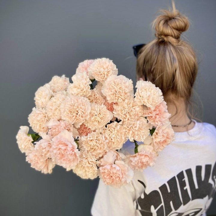 Охапка диантусов  в Кургане