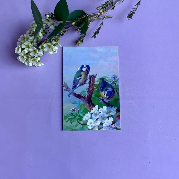 Открытка к букету "Птицы" в Кургане