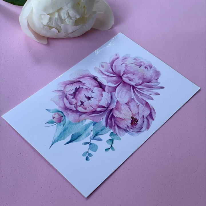 Открытка к букету "Пионы" в Кургане