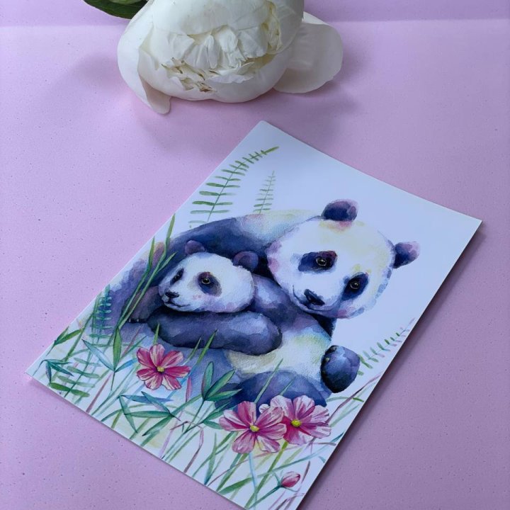 Открытка к букету "Объятие Панды" в Кургане