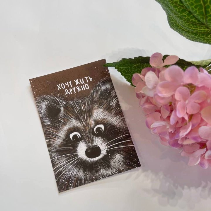 Открытка к букету "Енотик" в Кургане