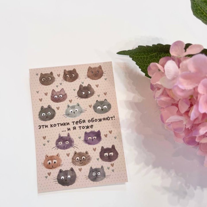 Открытка к букету "Котики" в Кургане