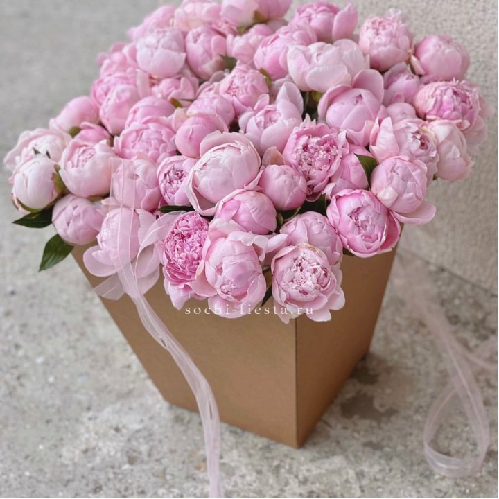 49 пионов в крафт коробке в Кургане