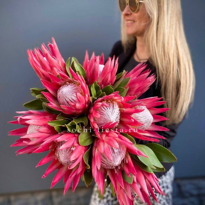 Протея штучно в Кургане