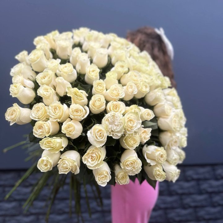 101 белая высокая импортная роза под ленту в Кургане