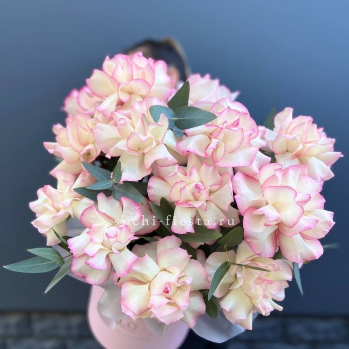 15 Французских роз Джумилия в боксе в Кургане