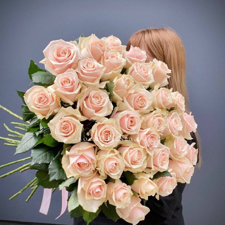 35 кремовых высоких роз в Кургане
