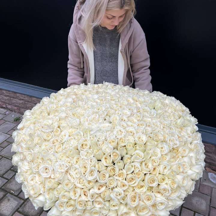 501 белая роза в корзине в Кургане