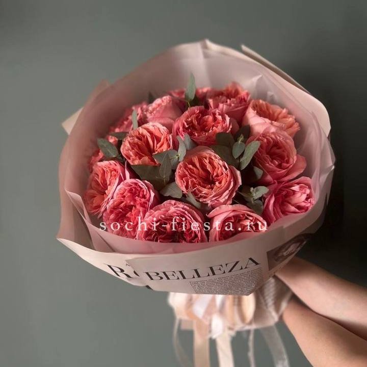 15 Пинк экспрешен в Кургане