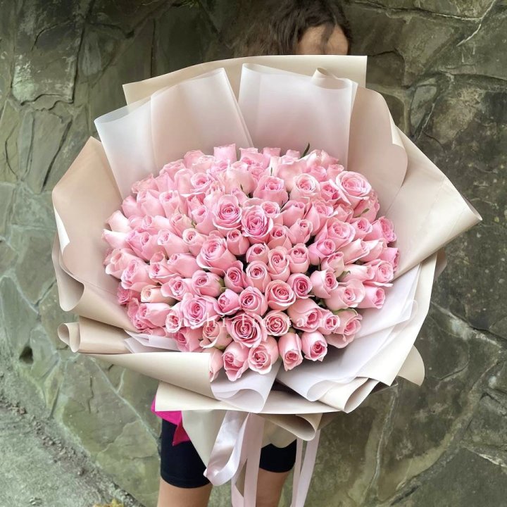 101 нежно-розовая роза Каролина  в Кургане