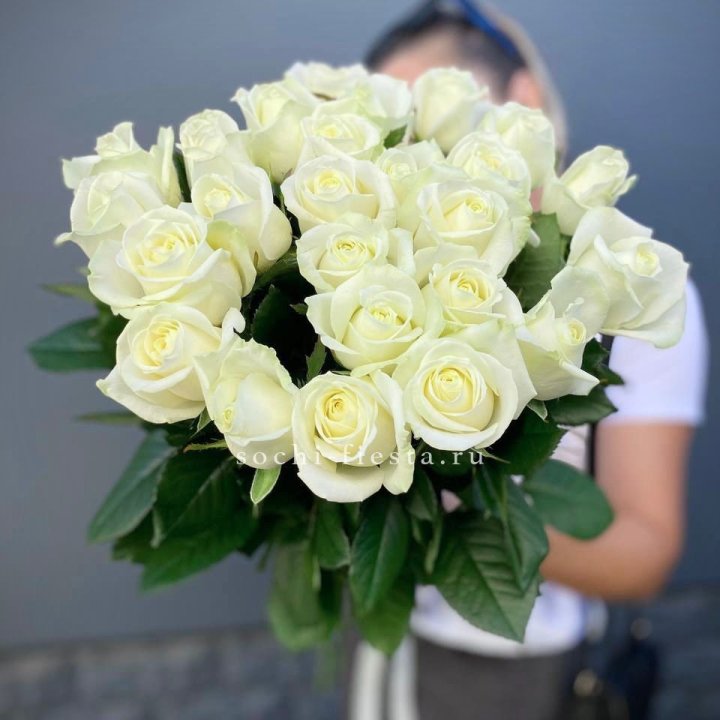 Голландские розы белые 25 в Кургане