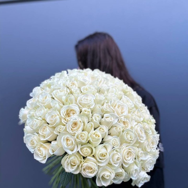 Охапка из 101 белой розы  в Кургане