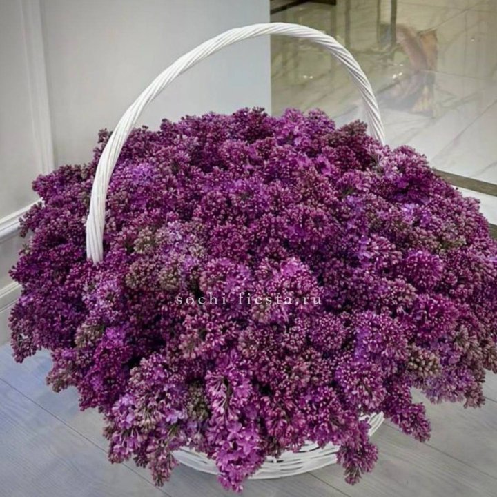 Корзина сирени в Кургане